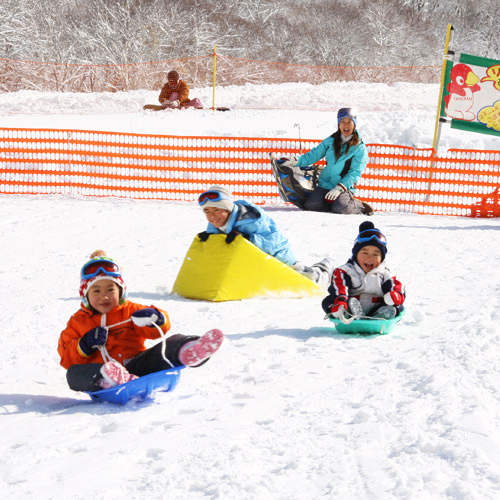 アクティビティ